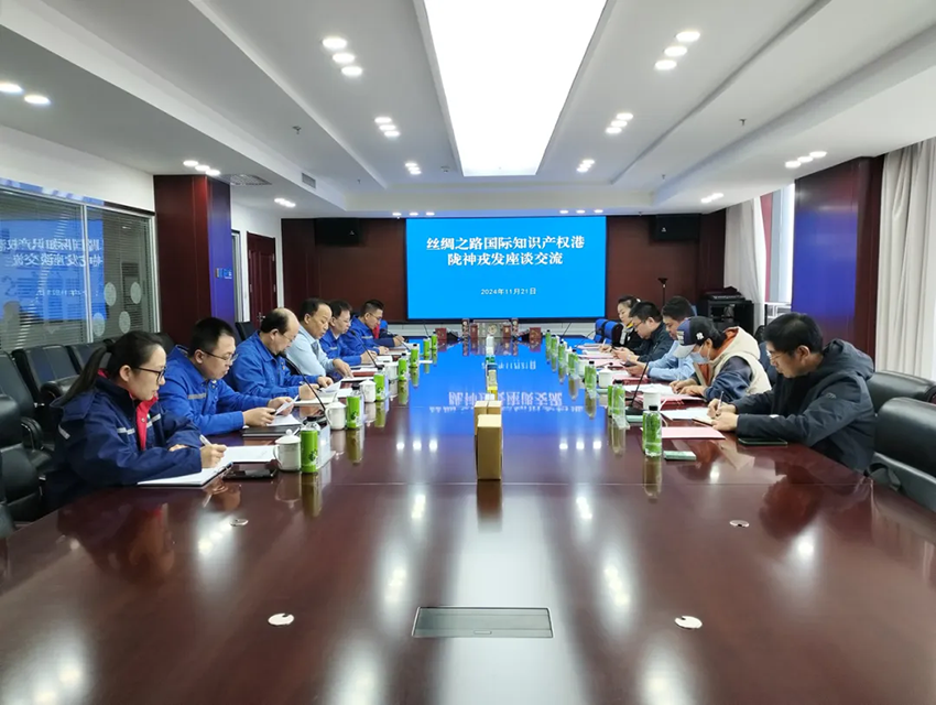 絲綢之路國際知識產權港公司到訪隴神戎發