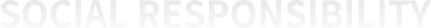 社會(huì)責(zé)任英文
