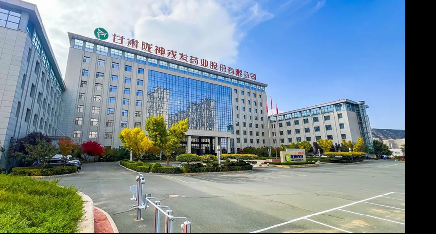 黨建引領 凝聚高質量發展強勁動能——隴神戎發以“紅色引擎”驅動企業行穩致遠