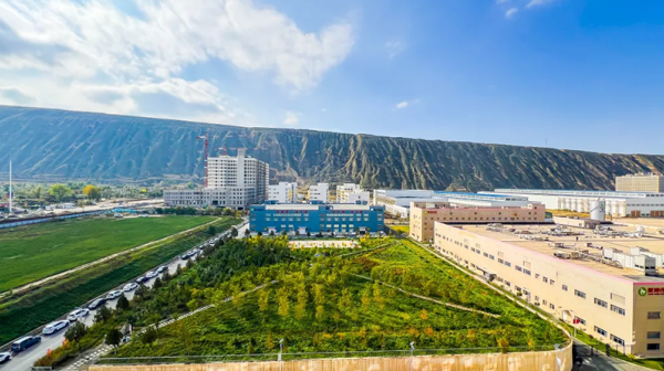 廠(chǎng)區(qū)秋景 ┃ 霜染廠(chǎng)區(qū)色 藥香釀秋深